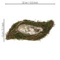 Plant Wave Vines kis virágtál mohával 31×15×7cm | Floristik24.hu