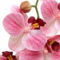 Floristik24 Mesterséges orchideaág Phaelaenopsis Pink H49cm