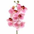 Floristik24 Mesterséges orchideaág Phaelaenopsis Pink H49cm