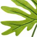 Floristik24 Philodendron levél zöld 40cm