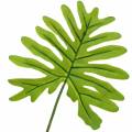 Floristik24 Philodendron levél zöld 40cm