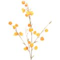 Floristik24 Mű kínai lámpás növény, Physalis ág virágokkal, 95cm