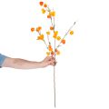 Mű kínai lámpás növény, Physalis ág virágokkal, 95cm | Floristik24.hu