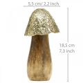 Dekoratív gomba fém fa arany, natúr dekoratív kijelző 13,5cm