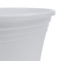 Floristik24 Műanyag edény „Irys” fehér Ø17cm H14cm, 1db