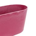 Floristik24 Műanyag tál ovális rózsaszín 27cm x 11cm H10cm 1db