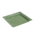 Floristik24 Műanyag tányér zöld négyzet 19,5cm x 19,5cm
