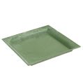 Floristik24 Műanyag tányér zöld négyzet 26cm x 26cm