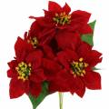 Floristik24 Mikulásvirág csokor vörös bársony 35cm