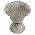 Csésze szürke antik megjelenés Ø12cm H13,5cm | Floristik24.hu