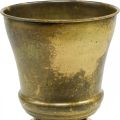 Vintage virágtartó fém csésze váza sárgaréz Ø17cm H19cm | Floristik24.hu