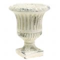 Floristik24 Növényi pohár antik krém Ø14cm H17cm