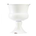 Floristik24 Csésze váza dekoratív csésze fehér rozsda Ø13,5cm H15cm Shabby Chic