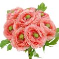 Floristik24 Ranunculus rózsa-rózsaszín 27cm 8db