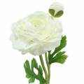 Floristik24 Művirág ranunculus virággal és bimbóval fehér H34cm