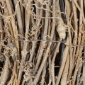 Dekoratív koszorú, rattan ágak, fehérre meszelt, kreatív tervezéshez, 50cm | Floristik24.hu