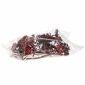 Repens Rosette Red 8cm - 9cm 25 db | Floristik24.hu