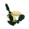 Floristik24 Retek fehér levelekkel 12cm 3db
