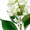 Floristik24 Panicle hortenzia krém fehér mesterséges hortenzia selyemvirág 98cm