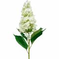 Floristik24 Panicle hortenzia krém fehér mesterséges hortenzia selyemvirág 98cm