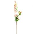 Floristik24 Larkspur Delphinium világos rózsaszín 95 cm