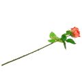 Floristik24 Rózsa művirág lazac 67,5cm