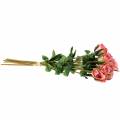 Floristik24 Rózsa öreg rózsa 42cm 12p