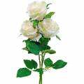 Floristik24 Fehér rózsa száron selyemvirág Műrózsa 3db