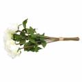 Floristik24 Dekoratív rózsa selyem virágok csokorban krém 36cm 8db