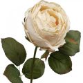 Floristik24 Rose Cream Silk Flower Artificial Rose L74cm Ø7cm
