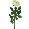 Floristik24 Műrózsa, díszrózsa, selyemvirág krémfehér, zöld L72cm Ø12cm