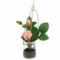 Floristik24 Rózsa rózsaszín üvegben H23cm
