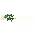 Floristik24 Selyemvirág, rózsa száron, műnövény krémfehér, rózsaszín L72cm Ø13cm