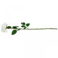 Floristik24 Fehér rózsa hamis rózsa száron selyemvirág Hamis rózsa L72cm Ø13cm