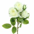 Floristik24 Rózsa fehér 40 cm