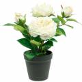 Floristik24 Bazsarózsa cserépben, romantikus dekoratív rózsa, krémfehér selyemvirág