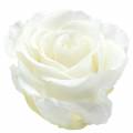 Floristik24 Infinity rózsák nagy Ø5,5-6cm fehér 6db