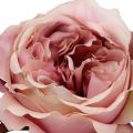 Floristik24 Rózsafej krém, rózsaszín 17cm 4db