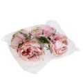 Floristik24 Rózsafej krém, rózsaszín 17cm 4db