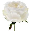 Floristik24 Rózsavirág fehér 17cm 4db