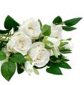 Floristik24 Csokor rózsa fehér L46cm