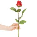 Rózsaág selyemvirág műrózsa piros 72cm 3db | Floristik24.hu