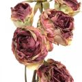 Floristik24 Műrózsa, asztaldísz, művirág rózsaszín, rózsaág antik megjelenés L53cm