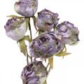 Floristik24 Rózsaág selyemvirágos asztaldísz Art Rose Lila Antik L53cm