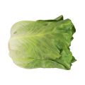 Floristik24 Salátafej zöld dekoratív saláta ételbabák 14cm