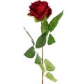 Floristik24 Bársony rózsa piros 65cm 6db