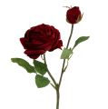 Floristik24 Bársony rózsa piros bimbóval Ø9cm L38cm
