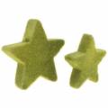 Floristik24 Scatter dekorációs csillagok bolyhosodva mohazöld 4cm/5cm 40db