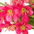 Művirágos ág Oncidium orchidea dekoráció 112cm 3db | Floristik24.hu