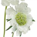 Floristik24 Rühös művirág fehér kerti virág H64cm csokor 3db